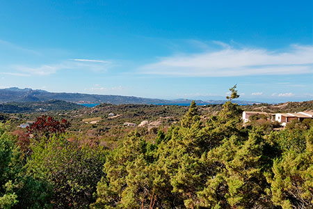 All holiday properties in Sardinia